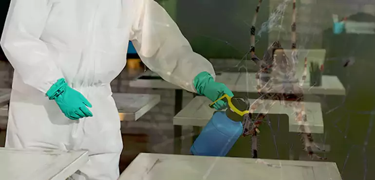 Why Buyers Still Want Homes With Pest Infestations in McKinney, TX?