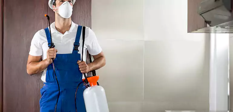 Why McKinney Homeowners Choose Us When Pests Make Selling Difficult