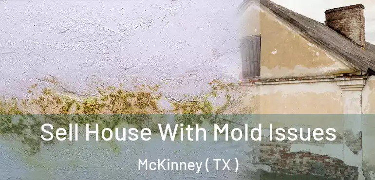  Sell House With Mold Issues McKinney ( TX )